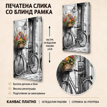 Вчитај ја сликата во галериски мод за гледање, Стар велосипед со корпа полна со шарени цвеќиња, потпрен до камен ѕид и дрвена врата со уличен фенер.