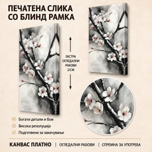 Вчитај ја сликата во галериски мод за гледање, Нежни бели и розови цветови расцветани по темни гранки, прикажани во пригушена црно-бела композиција.