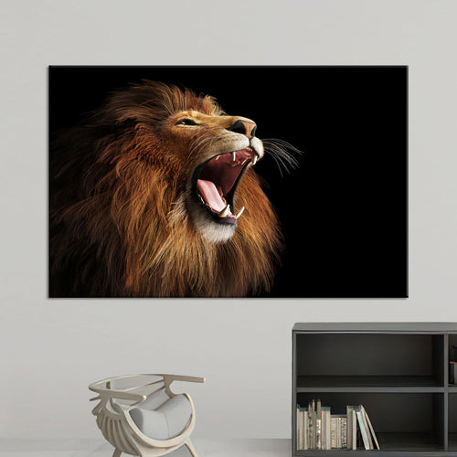 Сјај На Боја