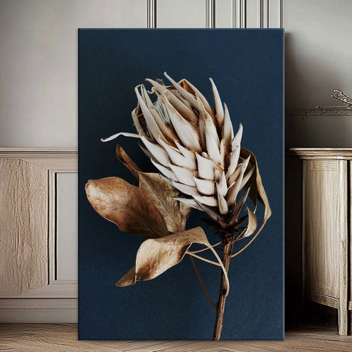 Проширени Простори