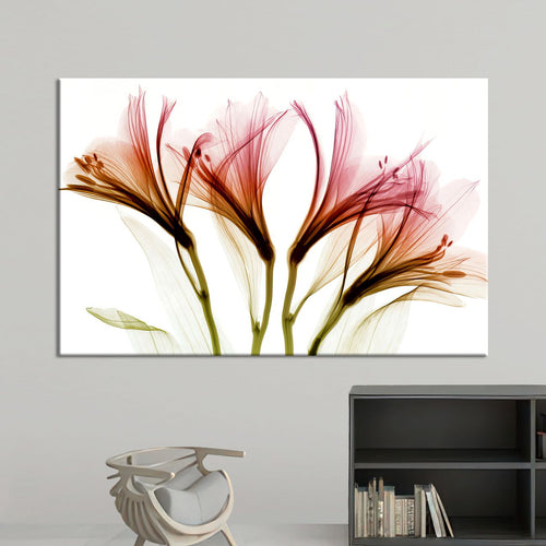 Цвеќиња од Сон