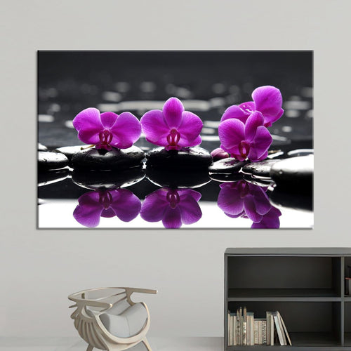 Магија на камен и светлина