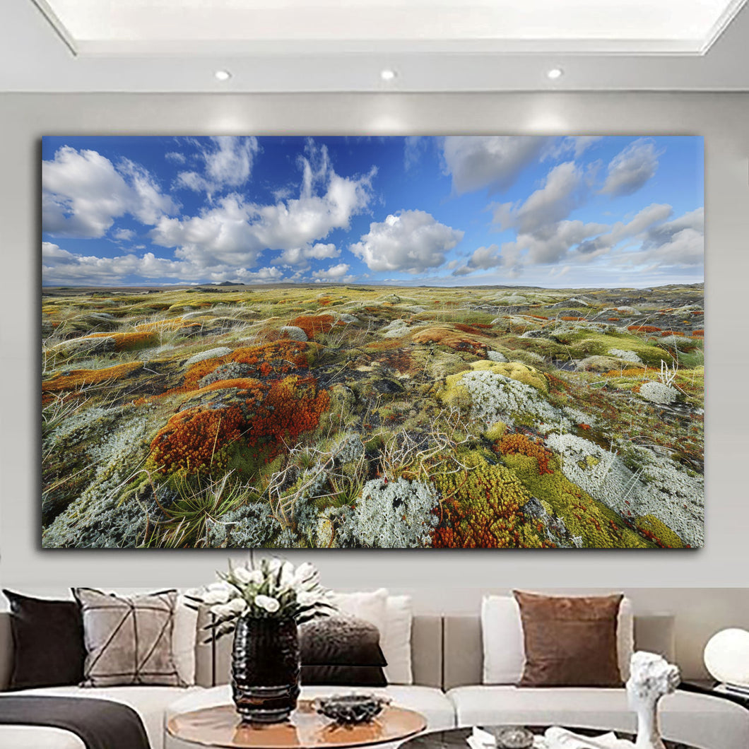 Здив на дивината - МЈЈН211