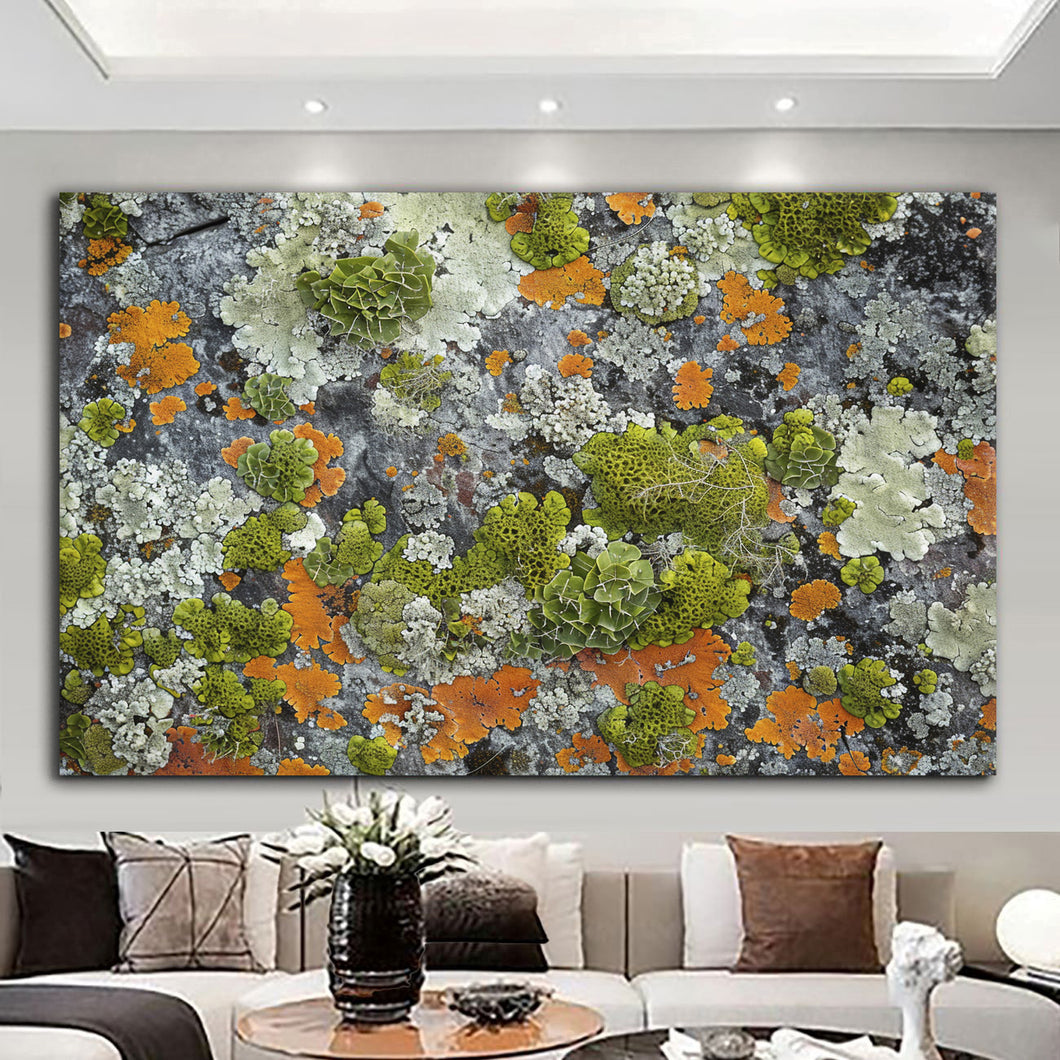 Уметноста на природата - МЈЈН212