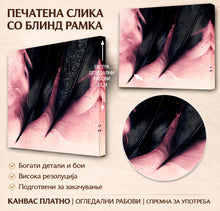Вчитај ја сликата во галериски мод за гледање, Апстрактна композиција со црни пердувести форми врз нежна розово-бела подлога, со ситни прскања и фини линии.